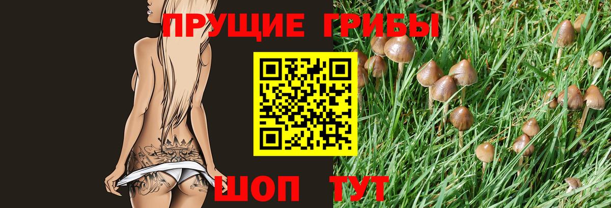 купить наркотик  Галлюциногенные грибы MAGIC MUSHROOMS  Десногорск  Вход с VPN  Псилоцибиновые грибы ЛСД 